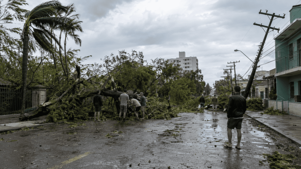 Moradores observam e ajudam a remover árvores e galhos caídos em uma rua molhada do Rio Grande do Sul após uma tempestade com ventos fortes.